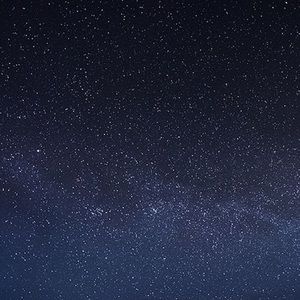 Meet your Posher, Isabella